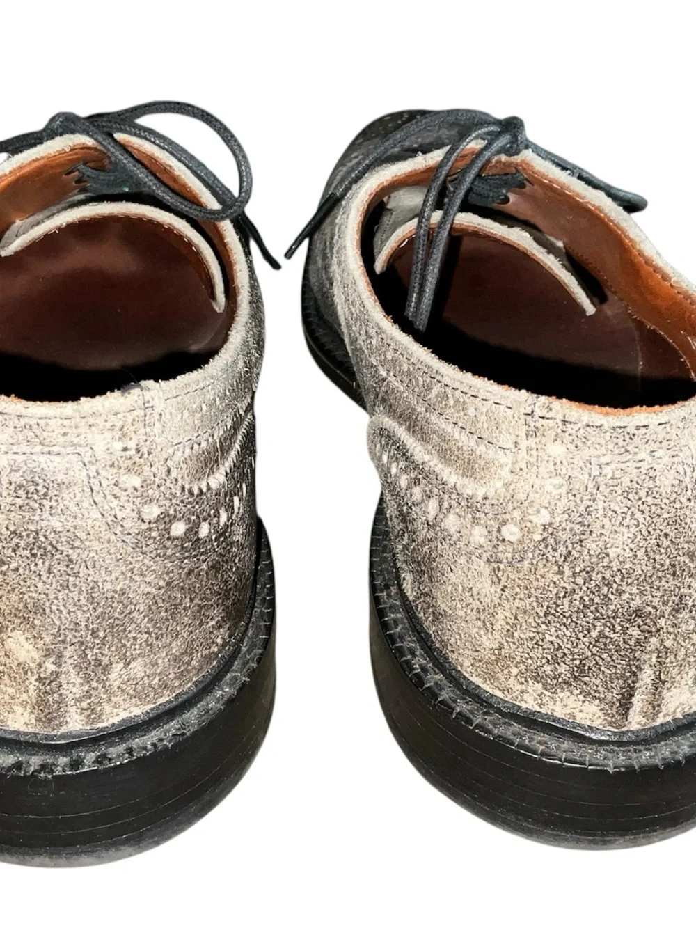 Allen Edmonds size 11